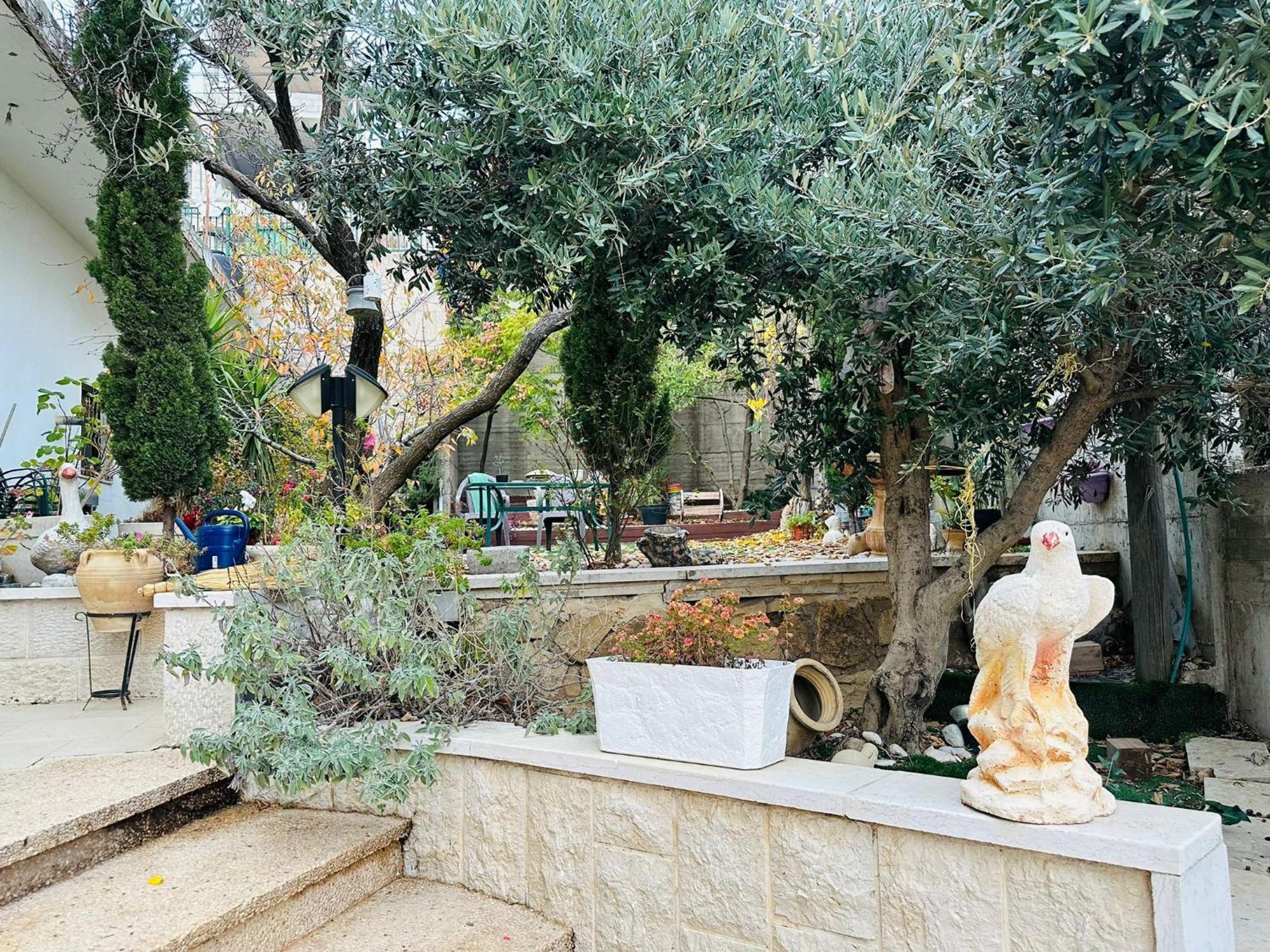 Hermon Accommodation 마즈달 샴스 객실 사진